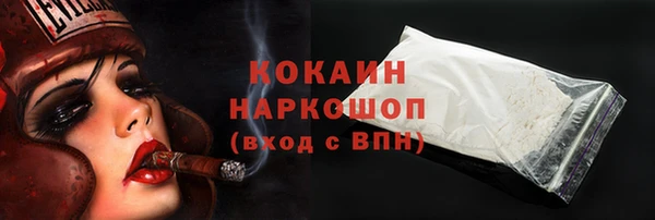 бошки Алексин