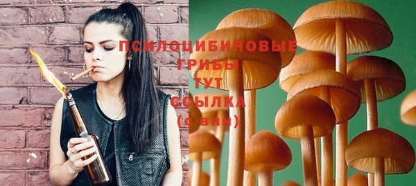 бошки Алексин