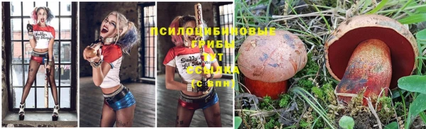 спайс Алзамай